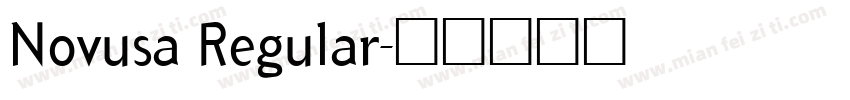 Novusa Regular字体转换